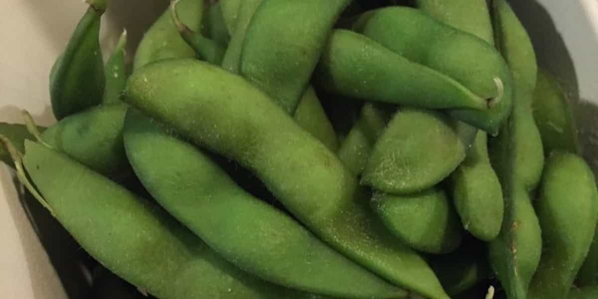 Edamame